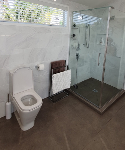 toilet and shower